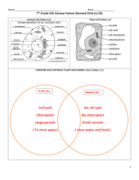 Maybe you would like to learn more about one of these? Cell Wall No Cell Wall Chloroplast No Chloroplast