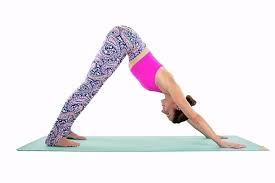 Yoga For A Flat Belly Video In 2020 Basic Yoga Poses Easy Yoga Workouts Yoga For Flat Belly