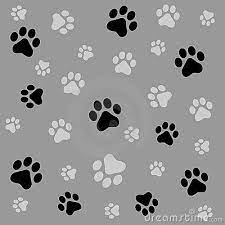 Puppy Paw Print Wallpaper Bing Images Paw Print Background Paw Wallpaper Puppy Paw Prints
