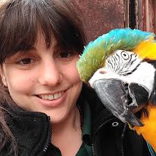 Dog Walking Winchester