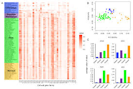 Mean fold differences in expression compared to growth on minimal medium plus glucose are noted. Plants Free Full Text A Genomic Perspective On The Evolutionary Diversity Of The Plant Cell Wall Html