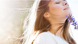 Helen Maxwell Nutrition