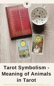 Time will tell if you're right or not. Meanings Of Animal Symbols On Tarot Cards Lisa Boswell