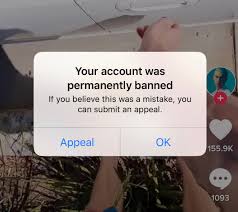 Lushsux A Twitter So My Tiktok Got Banned Don T Understand Why Tiktok Us I Didn T Even Do A Fart Joke
