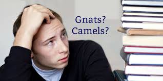 And, camel, gnat, strain, swallow. Bible Love Notes Straining Gnats