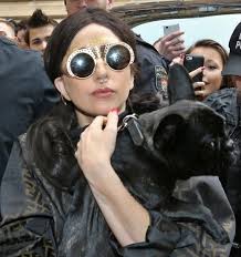 One of lady gaga's dogs, miss asia (pictured above), was able to escape. Lady Gaga Makes A Big Splash As She Is Greeted By Fans In Prague Mirror Online