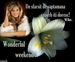 Dragi Prieteni Va Urez Un Weekend Minunat Alaturi De Cei Dragi Si Bucurati Va De Fiecare C Flowers Photography Beautiful Flowers Photography Floral Photography