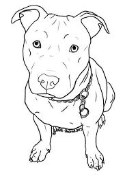 Pin Em Pit Bull