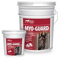 Vitamin e supplement for horses. Myo Guard Antioxidants Muscle Vitamins And Minerals Kpp