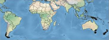 Image result for Asterochaete