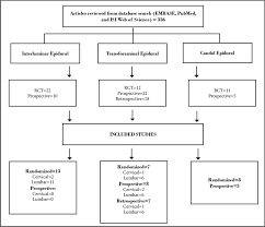 Systematic Review Flow Chart Download Scientific Diagram