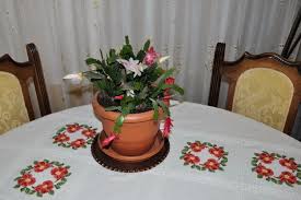 Yilbasi Cicegi Google Da Ara