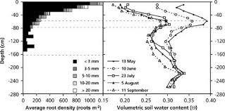 A cactus can be mined by hand without taking damage. Plant Water Relations Springerlink