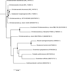 We did not find results for: The Human Gut Bacteria Christensenellaceae Are Widespread Heritable And Associated With Health Bmc Biology Full Text