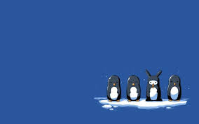 Free hd wallpaper, images & pictures of penguins, download photos of animals for your desktop. Minimalistic Penguins Wallpapers Hd Desktop And Mobile Backgrounds
