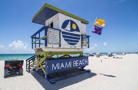 It's ringed by coastline all the way from its border with georgia to where the light waves of the gulf of mexico roll in. 15 Epic Treehouses And Cabins In Florida 2021 Edition