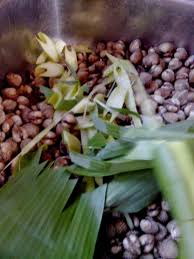 Teknik pembersihan kerang yang tepat dapat memastikan bahwa kerang sehat dan lezat untuk anda makan. Kulit Kerang Putih Bersih Baru Berselera Dimakan Keluarga