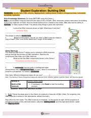 The structure of dna can be understood in three stages Buildingdnase Key Building Dna Answer Key Vocabulary Double Helix Dna Enzyme Mutation Nitrogenous Base Nucleoside Nucleotide Replication Prior Course Hero