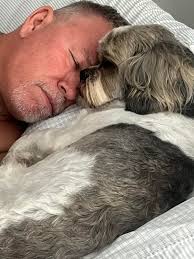 Update: we found his owners! Found dog. He has been running around near the  Franklin paper mill since at least Sunday. We brought him to our home