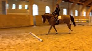 Området där hon bor tillhör kiviks församling. Lisen Hjalmar Har Ridit Igen