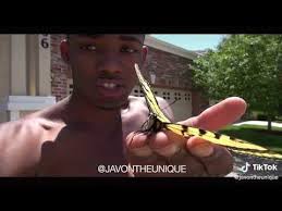 Check spelling or type a new query. Guy Eating Butterfly Tiktok Youtube