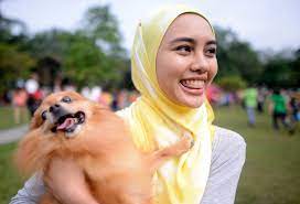 Where is the middle ground? Want To Touch A Dog In Malaysia It S A Delicate Subject The New York Times