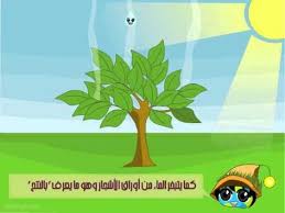 دورة الماء Youtube In 2020 Download Cute Wallpapers Cute Wallpapers Wallpaper