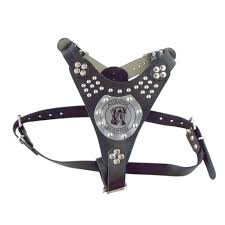 Tommy Gladyator Gogus Tasmasi