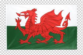 As with many heraldic charges. Flag Uelskogo Uelskogo Drakona Nacionalnyj Flag Flag Raznoe Flag Drakon Png Klipartz