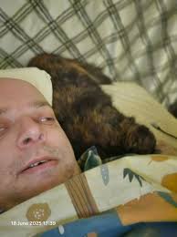 Cat being unusually snuggly when owner is sick