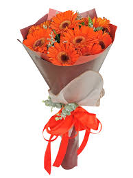 Nuvid is the phenomenon of modern pornography. Online Funeral Flower Delivery To St Peter Memorial Chapel Quezon City Metro Manila