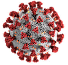 Jun 18, 2021 · la variante lambda o andina, detectada por primera vez en perú en agosto de 2020, circula ya en varias zonas del mundo, por lo que la organización mundial de la salud la ha incluido en la lista. Corona Mutation Jetzt Ist Die Lambda Variante Auch In Der Schweiz Angekommen 20 Minuten