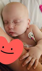 Today was pretty uneventful. Im okay with a pretty quiet day. Hazel threw  up quite a few times. So, we gave her a bit of greek yogurt (which she  loves), and she