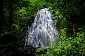 Little switzerland airbnb rentals pet policy pet policies are determined by the individual host of each airbnb property. 13 Best Things To Do In Little Switzerland Nc And Nearby