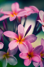 Over 30 million assessments administered worldwide. Elevation Of Taman Tamadun Islam Tti Management Sdn Bhd Pulau Wan Man Losong Panglimaperang Pulau Wan Man Kuala Terengganu Terengganu Malaysia Topographic Map Altitude Map