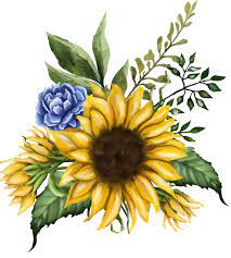 Sunflower Watercolor Wreath Bouquets Sunflowers Clipart Etsy Watercolor Sunflower Watercolor Bouquet Wreath Watercolor