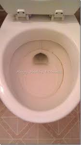 Alex Haralson How To Clean Rust And Sediment Toilet Rings Cleaning Toilet Stains Toilet Ring How To Clean Rust