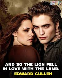 Has anyone read the twilight fanfic called Holding out for you it's about  After her divorce Bella starts a new life in Carmel with her son. She soon  meets a handsome doctor,