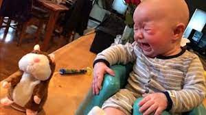Baby Reaction To Toys Best Of Funny Babies Scared Of Toys Funny Baby Videos Compilation 2020 Youtube