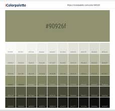 Now convert this color / search this keyword pressing the buttons below the search box!. Hex Color Code 90926f Desert Sage Color Information Hsl Rgb Pantone