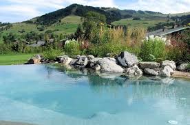 Piscine Naturelle Natural Swimming Pools Natural Swimming Pool Small Ponds