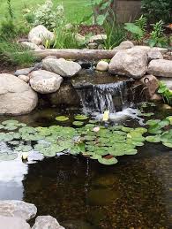 Backyard Pond Waterfall 41 Watergardening Waterfalls Backyard Pond Landscaping Garden Pond Design