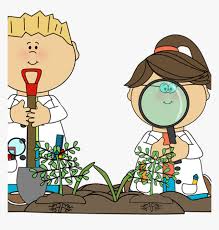 We did not find results for: Kids Science Clipart Science Clipart For Kids Science Hd Png Download Transparent Png Image Pngitem