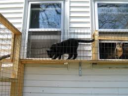 Is it safe to let my cat on the balcony? Catio Construction Our Tiny Homestead