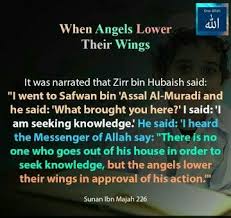 Pin By Fathima On Islamic Quotes Islamic Quotes Quotes Sayings