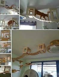 A freezer containing meat is situated in the basement but the room was without electricity for over a year. Cat Walk On The Ceiling Pet Furniture Cat Playground Cat Diy