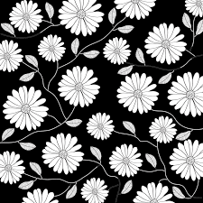 Jasmine white flower isolated on white background. Black And White Flowers Background Black Floral Background Png Clipart Large Size Png Image Pikpng