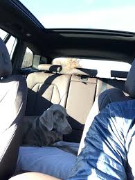 Waterproof dog car seat cover hammock for cat pet suv van back rear bench pad. Pet Cover For Rear Seats Xbimmers Bmw X3 Forum