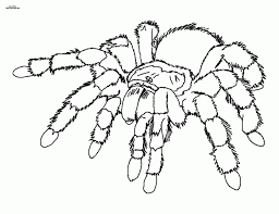 School's out for summer, so keep kids of all ages busy with summer coloring sheets. Free Drawings Spiderman Coloring Pages Blog Coloring Library