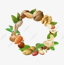 Vector Illustration Of Nuts Cashews Walnuts Almonds Pine Nuts Hazelnuts Brazil Nuts Peanuts Pistachio Are Arranged In A Circular Frame Nut Clipart Nuts Nut In 2021 Pine Nuts Different Nuts Cashew